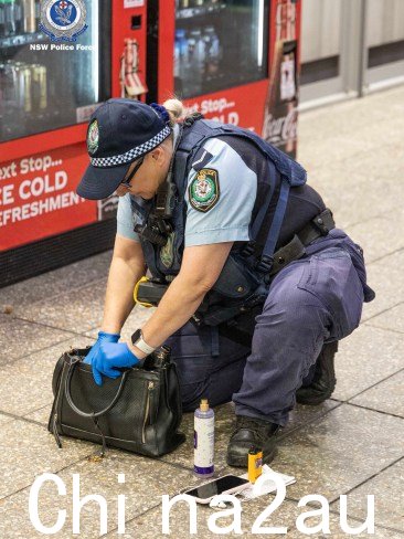 警员出动全州范围内。图片：新南威尔士州警方