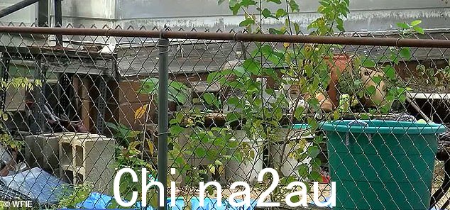 肯塔基州附近小镇的警察称,这三人由 31 岁的 David Schonabaum、28 岁的 Angel Schonabaum 和 25 岁的 Delania Thurman 组成,他们也住在埃文斯维尔住宅允许事件展开