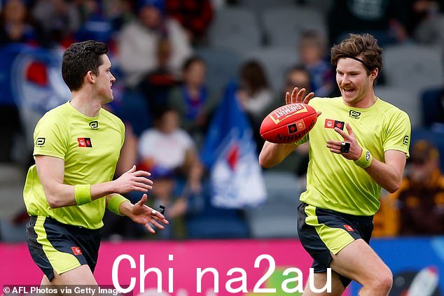 越来越多的人呼吁允许裁判在投票前查看统计数据,或者在一系列 Brownlow 闹剧之后完全剥夺他们的投票权