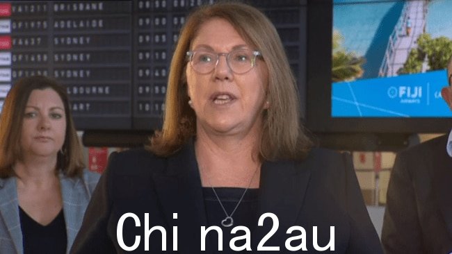 Catherine King 正面临审查决定。图片:提供的