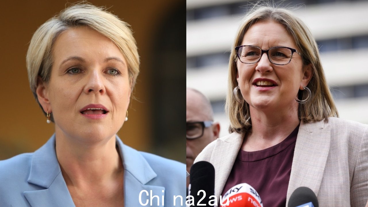 '她会的了不起的工作”：Tanya Plibersek 对 Jacinta Allan 担任维多利亚州第 49 任总理充满信心” fetchpriority=