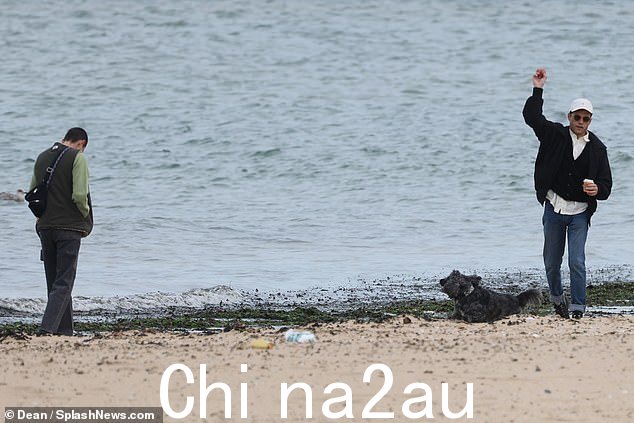 精力充沛:拉米在海滩上玩捡球游戏,累了斯宾塞
