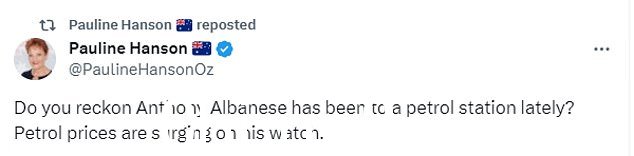 One Nation 领导人 Pauline Hanson 在 Twitter 上谴责 Albanese 先生的评论