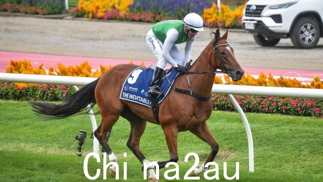 米克·甘农 (Mick Gannon) 暗示必然队将于周六在皇家兰德威克队 (Royal Randwick) 击败埃普索姆队 (Epsom)。图片：Reg Ryan/Racing Photos via Getty Images