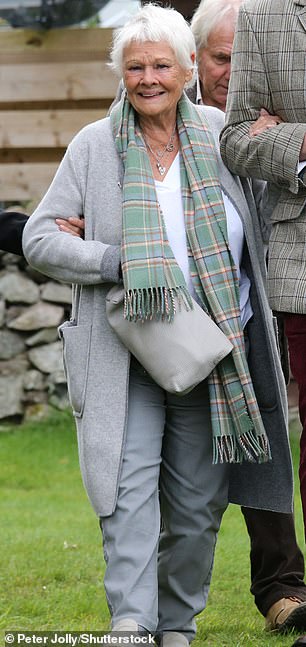 Dame Judi 走进会场时,戴着一条格子呢围巾,搭配看起来舒适的灰色套装