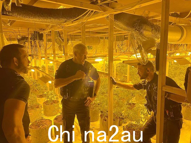6 月,警方查获了 416 株大麻植物,这些植物被发现生长在德文郡托基的一家废弃夜总会中