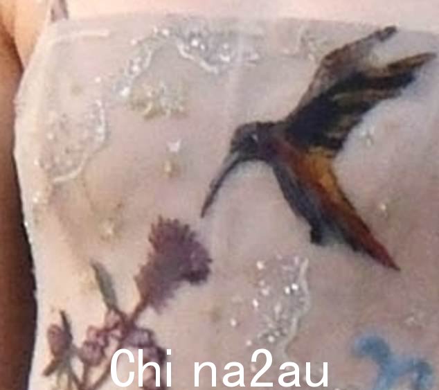 爱情鸟:焦糖色蜂鸟是连衣裙紧身胸衣上的主要刺绣细节;这只鸟意味着幸运、美丽、治愈和爱情