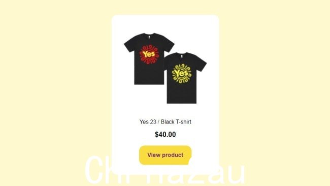 截至周二晚上,Yes23 Campaign 官方商店上唯一有售的商品是黑色 T 恤。图片:Yes23 Campaign
