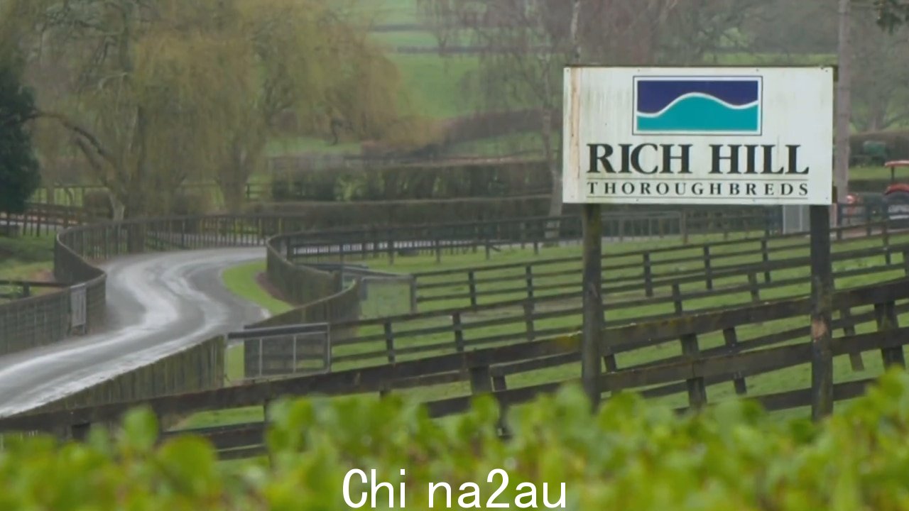 新西兰 Rich Hill 种马场2024 年庆祝 30 周年” fetchpriority=