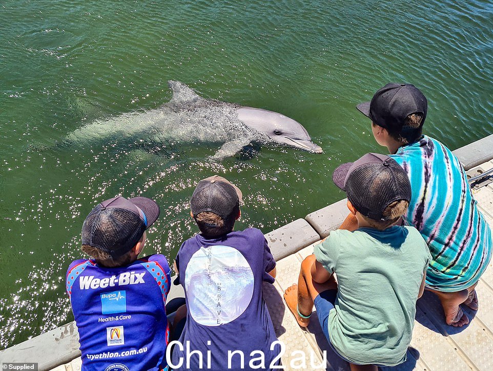 孩子们与鲸鲨、海豚、海龟和绚丽的海洋生物一起游泳,在房车公园结识了新朋友,并且总是在户外。当被问及是否怀念郊区的生活时,汤姆笑着说“一点也没有”。他说:“我们花时间创造回忆,而不是努力偿还抵押贷款,因为最终你留下的只是回忆。”虽然对于未来没有既定的计划(除了更多的旅行),但他们确实有一套规则——当孩子们说他们已经受够了时,他们就会放弃这种生活方式。汤姆说:“我们的孩子是我们的首要任务,我们总是谈论我们的生活方式。” class=