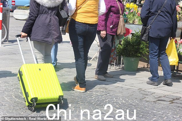 带轮离地行李箱的拥有者将这些袋子拖在身后,完全忽视了他们留下的混乱,因为他们的脏轮子碾过穿着凉鞋的裸露脚趾,绊倒了人们