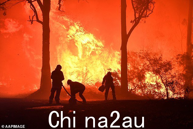 由于厄尔尼诺现象和积极的印度洋偶极子气候条件,未来几个月热浪和丛林大火的风险将增加