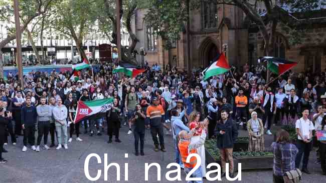 示威者首先聚集在悉尼市政厅，在部分示威前挥舞巴勒斯坦旗帜并高呼口号一行人前往歌剧院。图片：David Swift