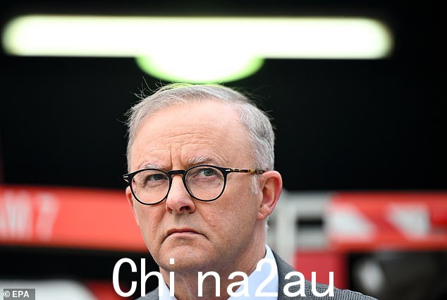 格雷德尔的总理安东尼·阿尔巴内塞 (Anthony Albanese) 席位和悉尼的环境部长塔尼娅·普利伯塞克 (Tanya Plibersek) 都有望投票赞成