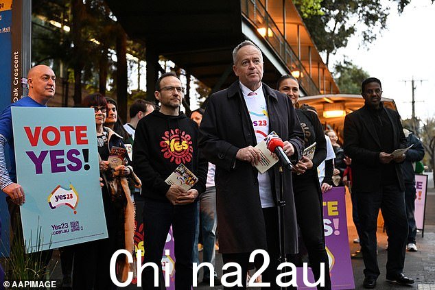 残疾事务部长比尔·肖顿(Bill Shorten)(如图中)位于墨尔本内西北的 Maribyrnong 席位也可能以 53% 比 47 票投反对票