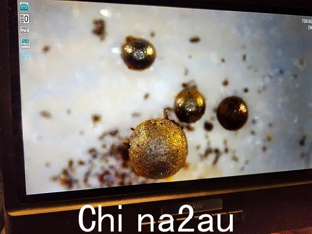 从海中打捞出大约 700 个金属球形物体,勒布确定其中含有只能在星际空间中找到的合金