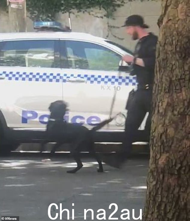 作为警察行动的一部分,警犬嗅探犬被部署到现场