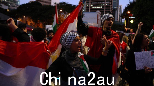 可以看到抗议者挥舞着巴勒斯坦旗帜，而其他人则在街道上游行。图片：NCA NewsWire/Tertius Pickard