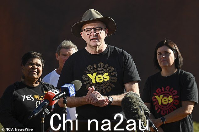 数百万澳大利亚人将于周六投票,对将澳大利亚原住民咨询机构纳入宪法表示同意或反对