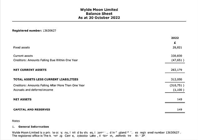 红色:她的 Wylde Moon 生活方式品牌刚刚提交了第一组账目……这些显示其资产仅为 149 英镑