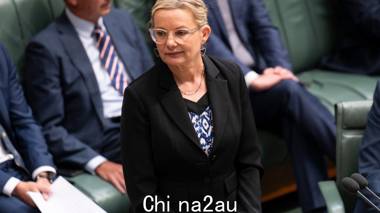 Sussan Ley 在激烈的质询时间就公投失败向总理提出质询。图片：NCA NewsWire / Martin Ollman