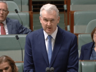 托尼·伯克 (Tony Burke) 曾在悉尼西部选民庆祝一周后谴责哈马斯对以色列的袭击用烟花爆竹进行攻击。图片：澳大利亚天空新闻。