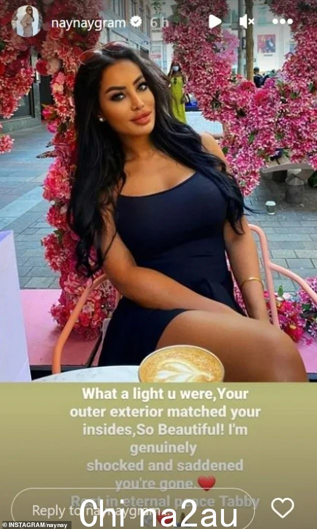 悲痛欲绝的朋友和震惊的粉丝在社交媒体上向这位模特致敬。NayNay 写道:“塔比安息吧”