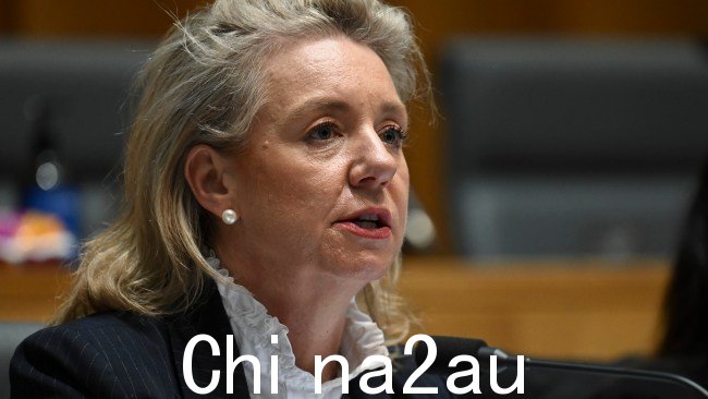 国民参议员布丽吉特·麦肯齐 (Bridget McKenzie) 表示，在参议院投票让艾伦·乔伊斯 (Alan Joyce) 回家之前，需要调查大量问题。图片：NCA NewsWire/Martin Ollman