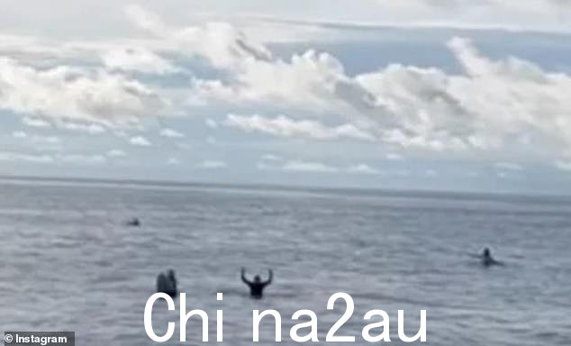 36 小时后,澳大利亚人从巴厘岛附近的水中获救的那一刻(如图)