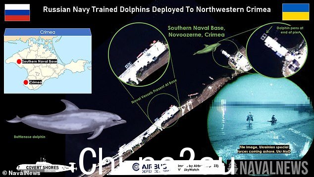 Novoozerne 是前苏联潜艇基地,俄罗斯在那里部署了导弹护卫舰、登陆艇和一些支援舰,包括一艘潜艇支援船,OSINT 研究员 H I Sutton 分析卫星图像发现了海豚圈,他说