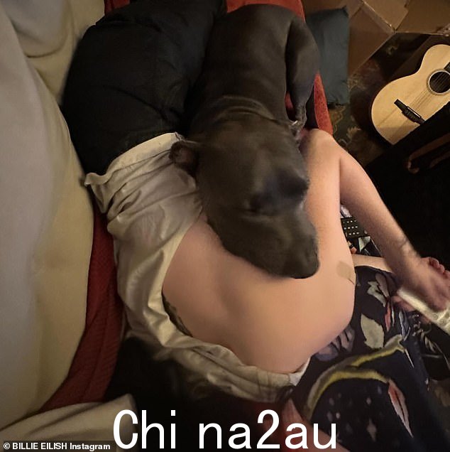 动物爱好者:在帖子的其他地方,音乐艺术家分享了一张依偎在她身边的狗的照片