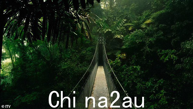 激动人心:节目回归前新阵容尚未公布