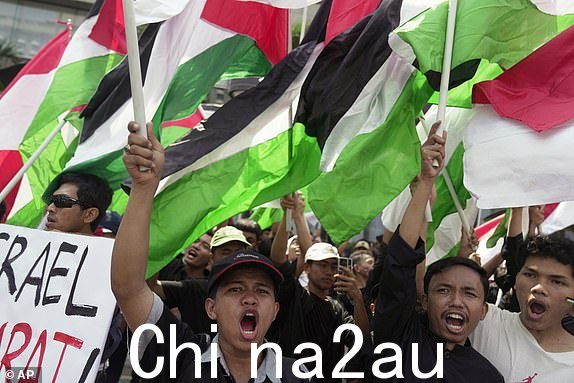 2023 年 10 月 20 日星期五，在印度尼西亚雅加达联合国代表处大楼外举行支持巴勒斯坦人民的集会期间，抗议者一边挥舞巴勒斯坦国旗一边高喊口号。数百人在印度尼西亚首都雅加达举行抗议活动。周五，以色列谴责美国对以色列的坚定支持，并要求以色列停止对加沙地带的空袭。 （美联社照片/Dita Alangkara）