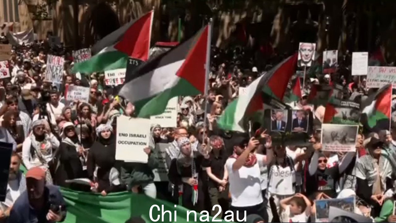 亲巴勒斯坦集会悉尼市政厅外已经开始” fetchpriority=