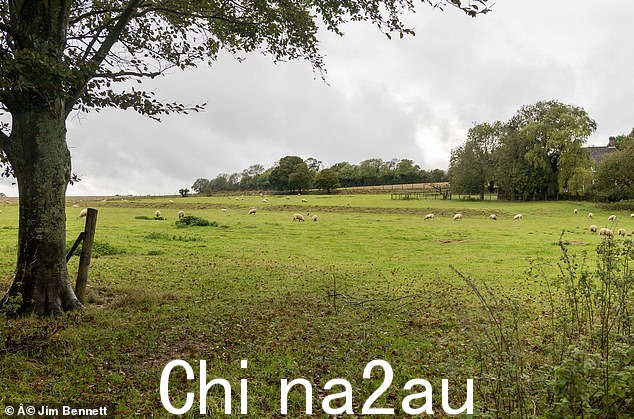 Folkestone 和 Hythe 区议会最初批准该土地于 2022 年建造 28 套大型住宅,随后将数量翻倍至 45 套经济适用房