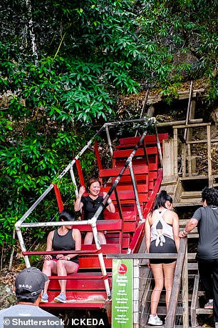 许多悉尼人分享了他们对 2013 年之前的风景铁路的回忆,当时它没有安全带、车顶或车门