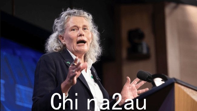 Fiona Simson 在担任 NFF 主席七年后辞去职务。图片：Twitter / NFF