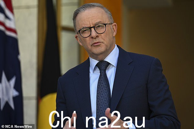Albanese 先生的政府被指责在人造石问题上没有采取足够强硬的立场