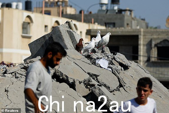 以色列袭击以色列基地后，巴勒斯坦人在废墟上寻找伤亡2023 年 10 月 25 日，加沙地带南部汗尤尼斯的房子。 REUTERS/Ibraheem Abu Mustafa
