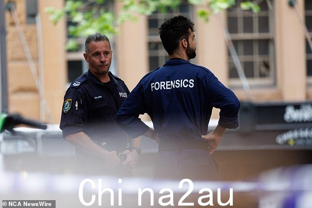 警方已建立犯罪现场,正在进行法医检查