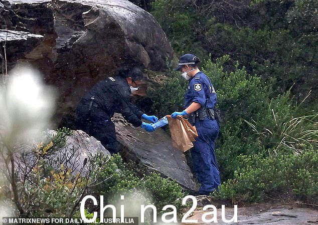 警方仔细搜查悬崖周围地区寻找证据