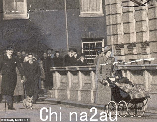 1952:年轻的查尔斯环顾四周,想要召唤他母亲的一只柯基犬,他坐着豪华越野车前往克拉伦斯宫