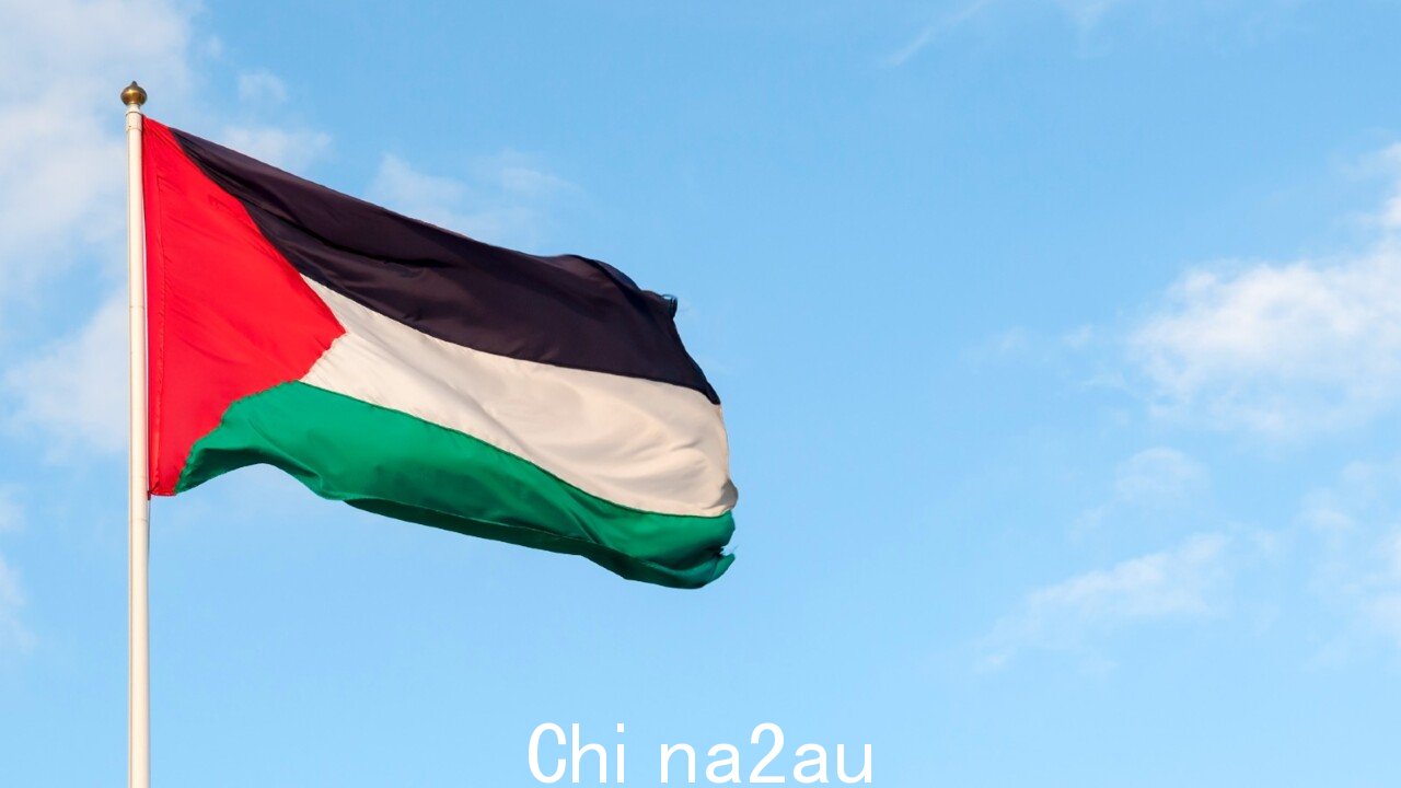 墨尔本升起九面巴勒斯坦国旗在联邦广场上空出现“令人难以置信”” fetchpriority=