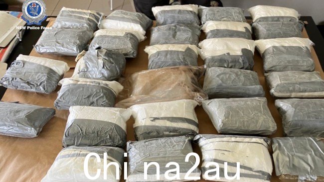新南威尔士州警方在一个藏有 4,200 万美元非法药物的“毒品安全屋”中逮捕了两名男子。图片：新南威尔士州警方