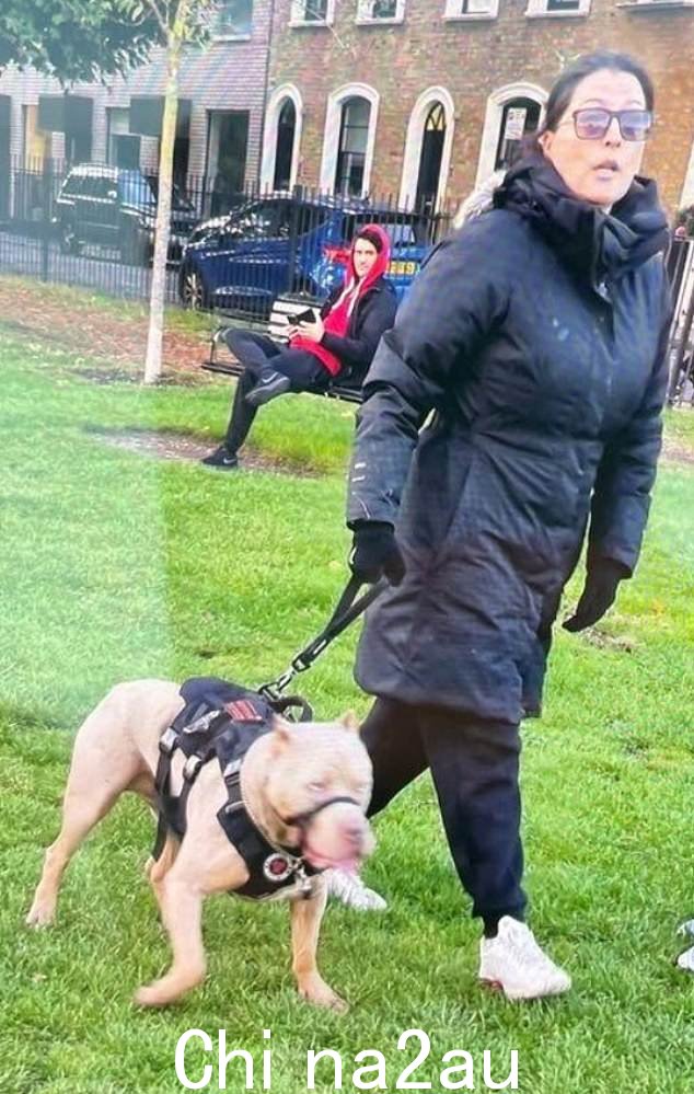 在伦敦公园里被 XL Bully 袭击的 Jack Russell 犬的主人,心烦意乱,声称是该犬的主人。凶猛的野兽(如图)甚至没有道歉