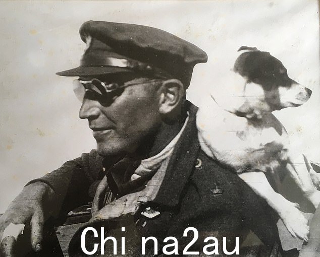 帕迪·梅恩 (Paddy Mayne) 和他的狗在北非,他在 1941 年至 1942 年间驻扎在那里