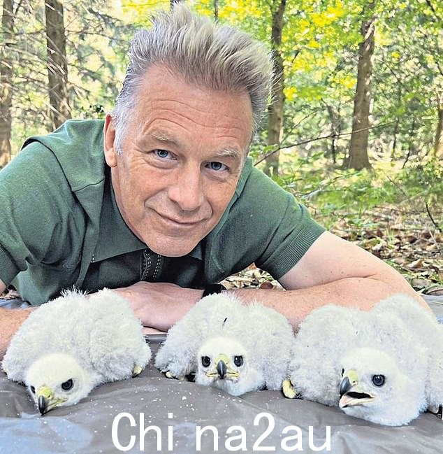 这位 Springwatch 明星因声称他的行为对受保护物种造成“干扰”而引发刑事调查