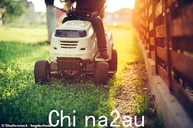 她还警告不要放弃你的草坪,并说要继续修剪它(库存图片)