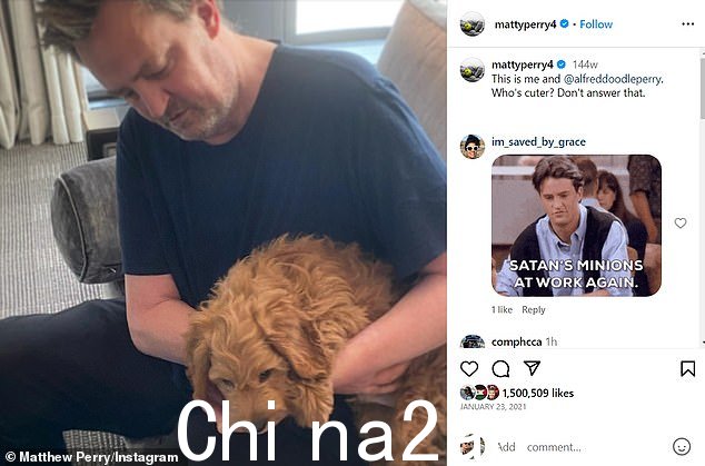 '谁更可爱?'佩里在 Instagram 上问他的粉丝,“不要回答这个问题”,他补充道“class=