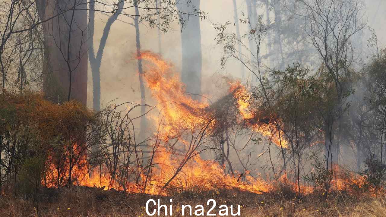 预计周二新南威尔士州和昆士兰州的火灾威胁将进一步恶化。图片:Liam Kidston/澳大利亚新闻集团